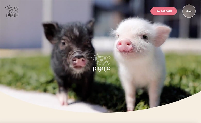 株式会社 pignic　サイトイメージ